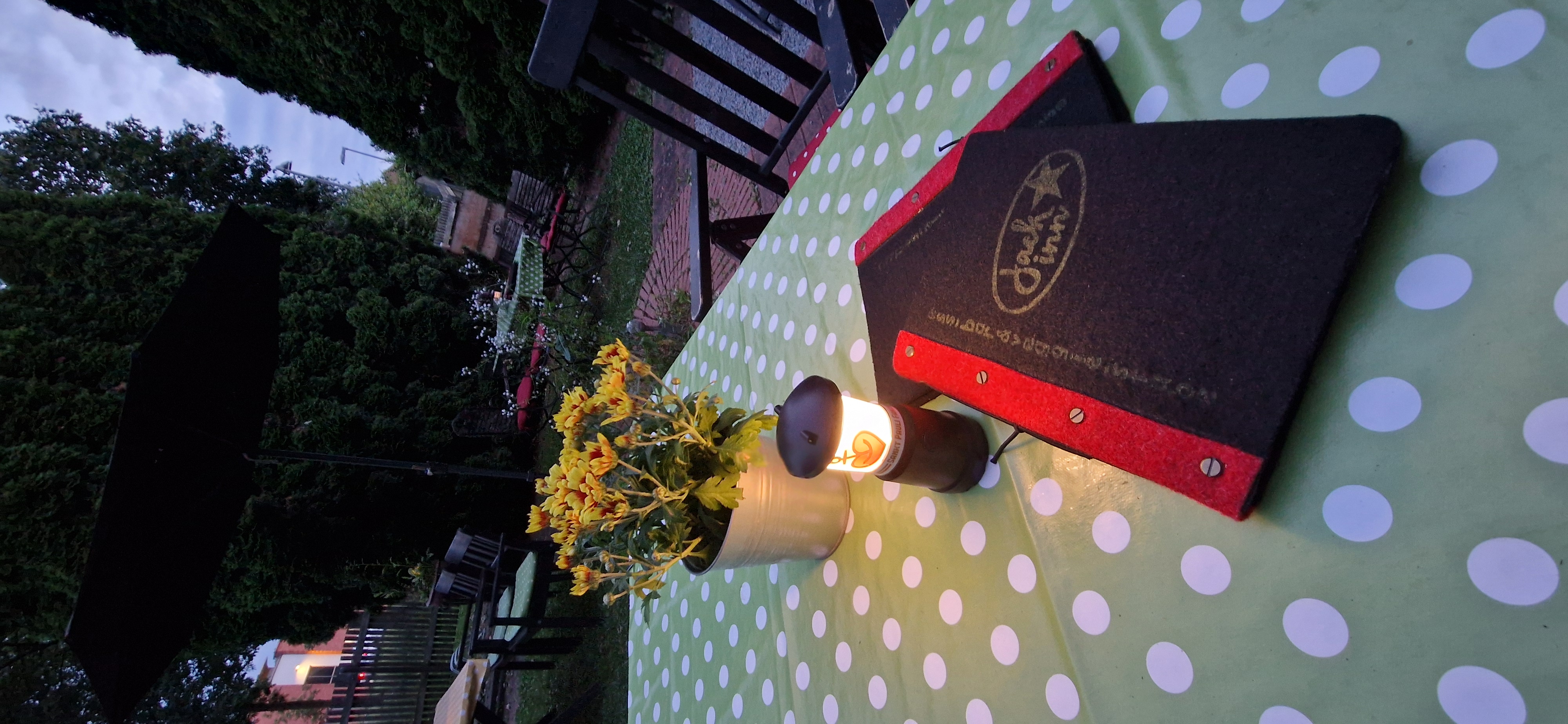 gartenwirtschaft am abend. ein tisch mit grün-weißgepunkteter tischdecke. man sieht 2 speisekarten in schwarzem filz mit rotem einband und gelb-grünem druck,
                vom logo und einem text, ess-bar und veggie-stube. daneben eine kleine lampe und blumen in einem blech übertopf. dahinter hohe dichte bäume und ein stück blauer himmel dazwischen